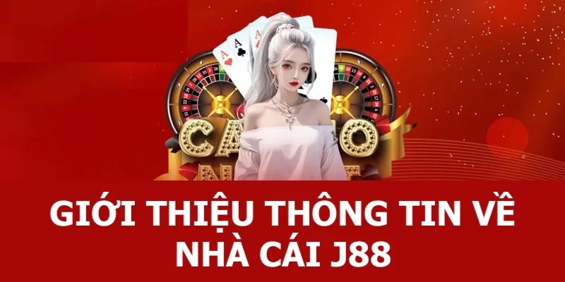 Hướng dẫn cơ bản về vận hành Ok365 - Ok365