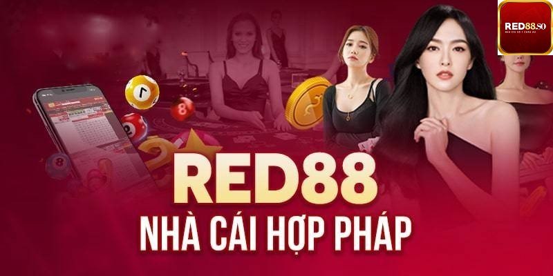 Chức năng sau khi tải xuống ứng dụng Kv99 - Kv99
