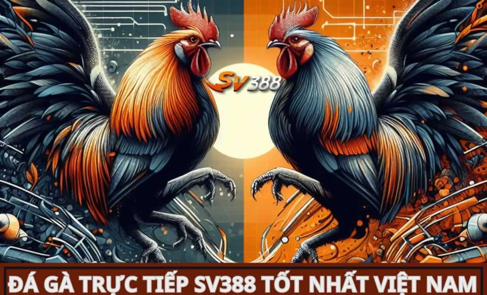 Những điều cần lưu ý quan trọng khi rút tiền từ quỹ 911Win - 911Win