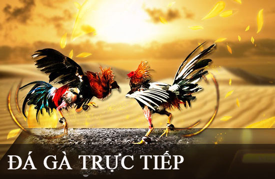 388Bet Live là một nền tảng cá cược phổ biến trên toàn cầu - 388Bet