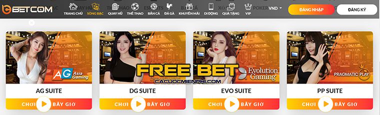 Tôi trúng giải độc đắc Jj88 trên máy đánh bạc, tiền thật đấy! - Jj88