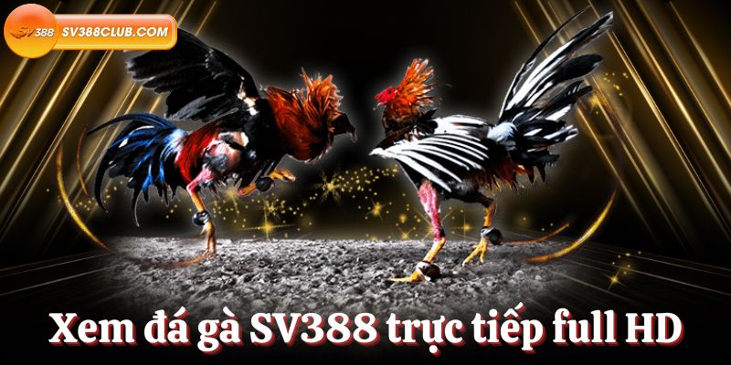 Mec68 có giao diện hiện đại và dễ sử dụng - Mec68