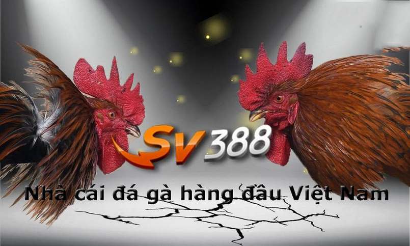 Sức hấp dẫn của các trò chơi cấp độ F88bet - F88bet