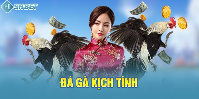 Người chơi có thể đăng ký tối đa bao nhiêu tài khoản cấp Eu88? - Eu88
