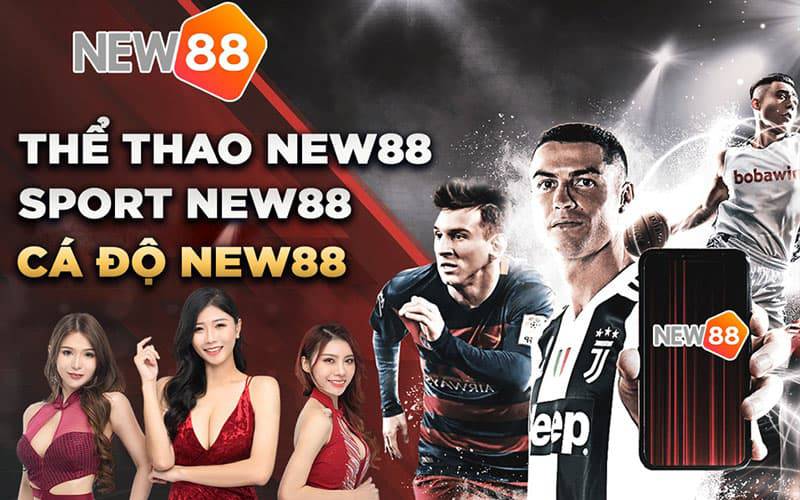 Khuyến mãi độc quyền B8b - B8b