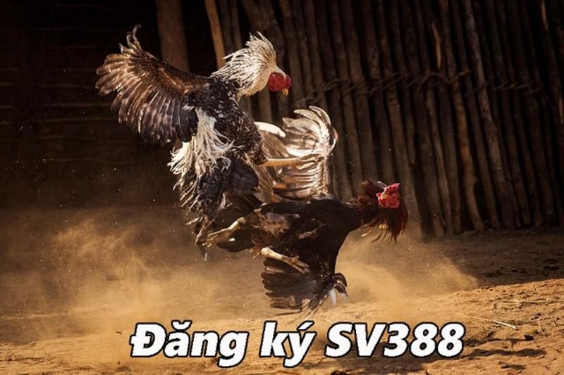 Ưu điểm của ứng dụng trò chơi Câu lạc bộ 79Win - 79Win