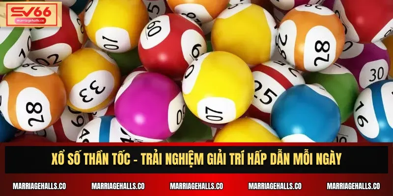69Vn có cung cấp hỗ trợ 24/7 không? - 69Vn