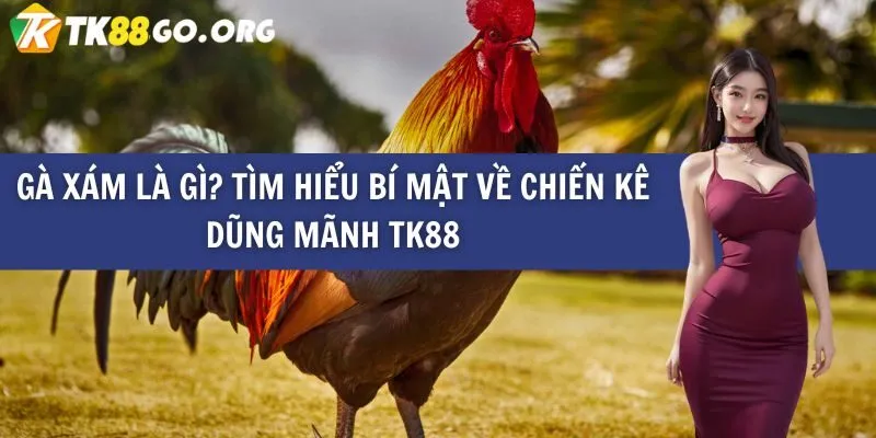 Bigboss Nếu bạn muốn trải nghiệm điều đó - Bigboss
