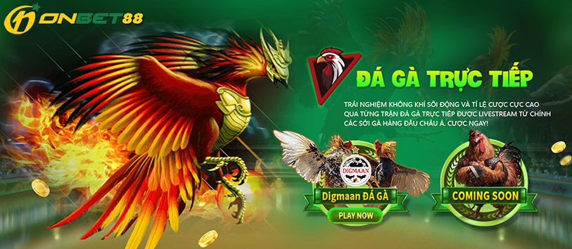 Giới thiệu về các sản phẩm và dịch vụ trò chơi của Win55 Games - Win55