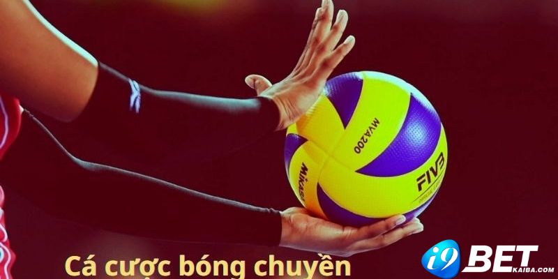 Trang web Betcom Games cung cấp các sản phẩm và dịch vụ - Betcom
